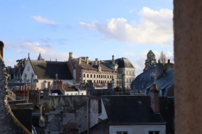 Appart'Hôtel Blois vue Château